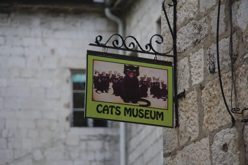 Katzenmuseum "Cats Museum" in Kotor, Montenegro