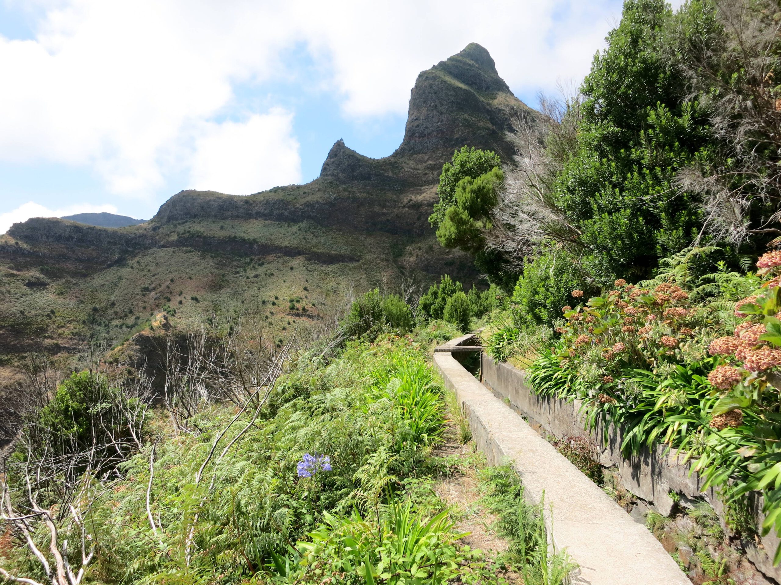Levada Wanderung auf Madeira