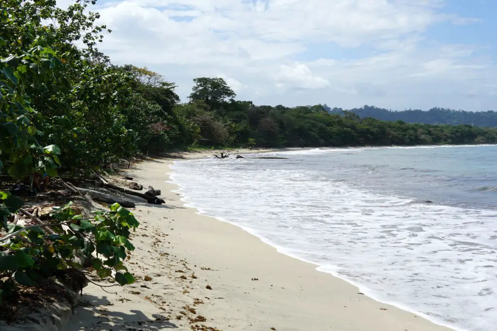 Strand im Cahuita Nationalpark in Costa Rica