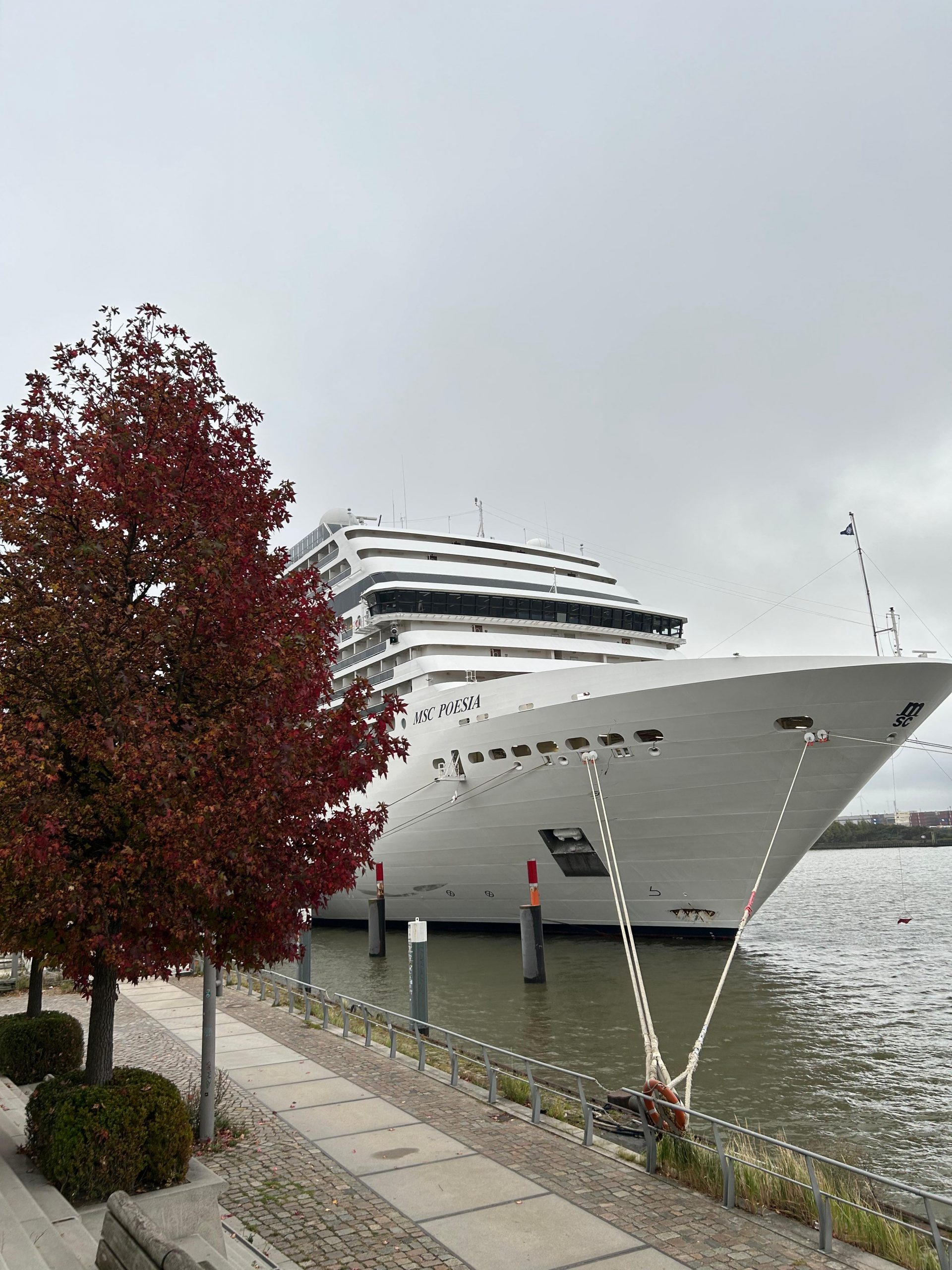 MSC Poesia startet erstmals im Cruise Center HafenCity Hamburg